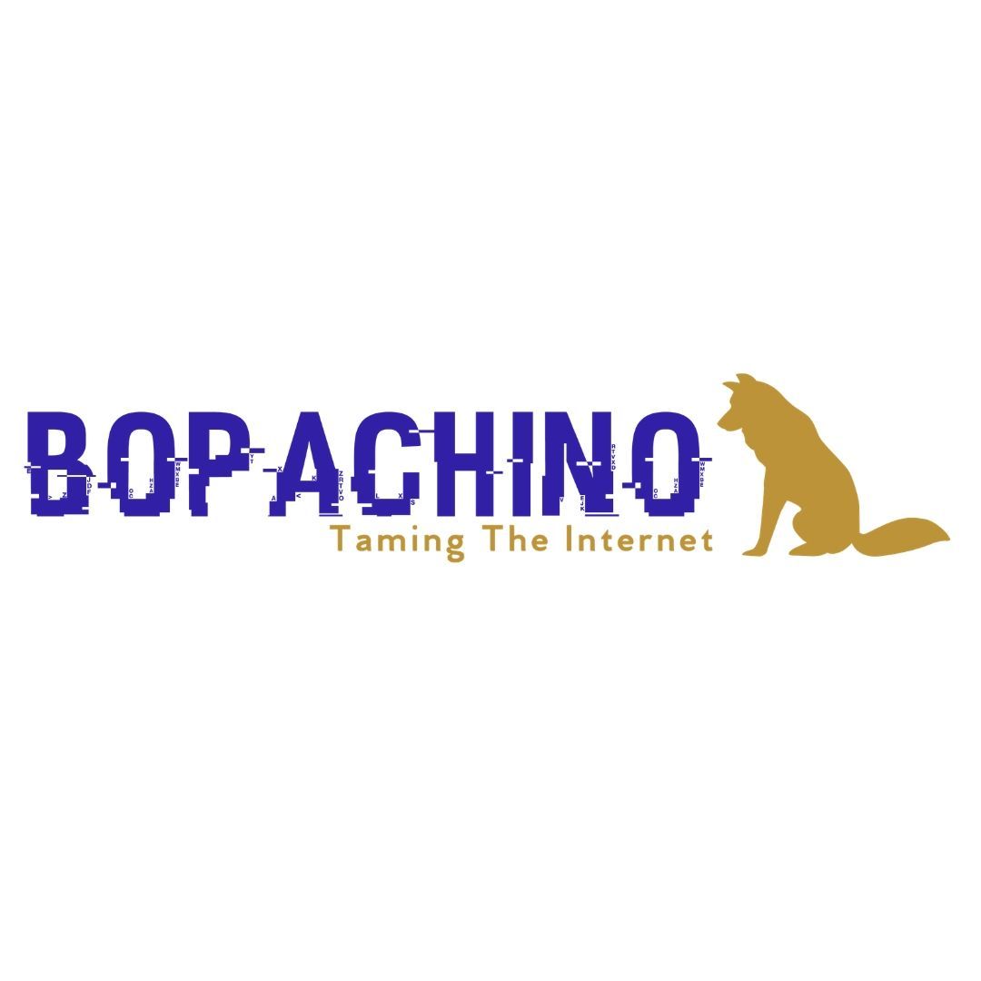 Bopachino's Digital Marketing Company Official Logo